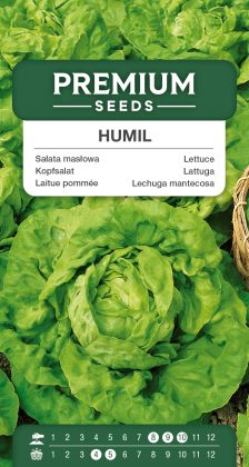 Lettuce Humil – seeds