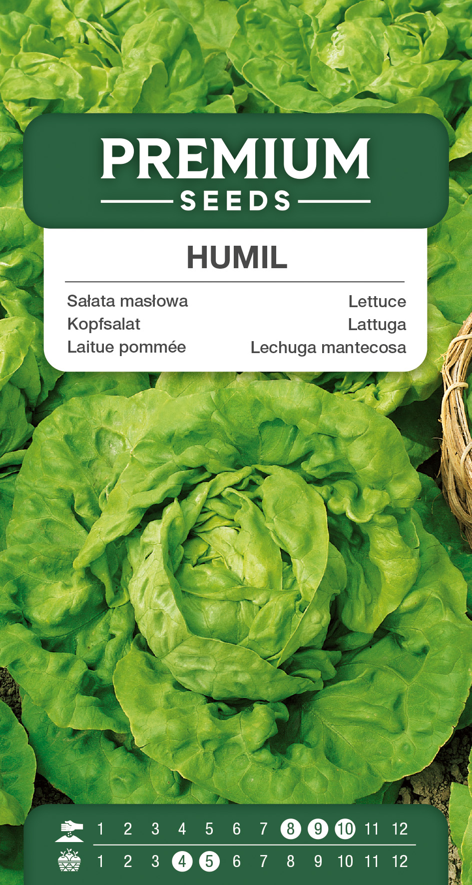 SWIA-WO-GE-11166_VS Lettuce Humil – seeds