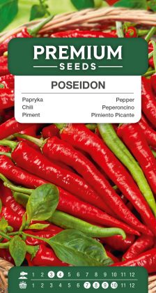 Pepper Poseidon – seeds