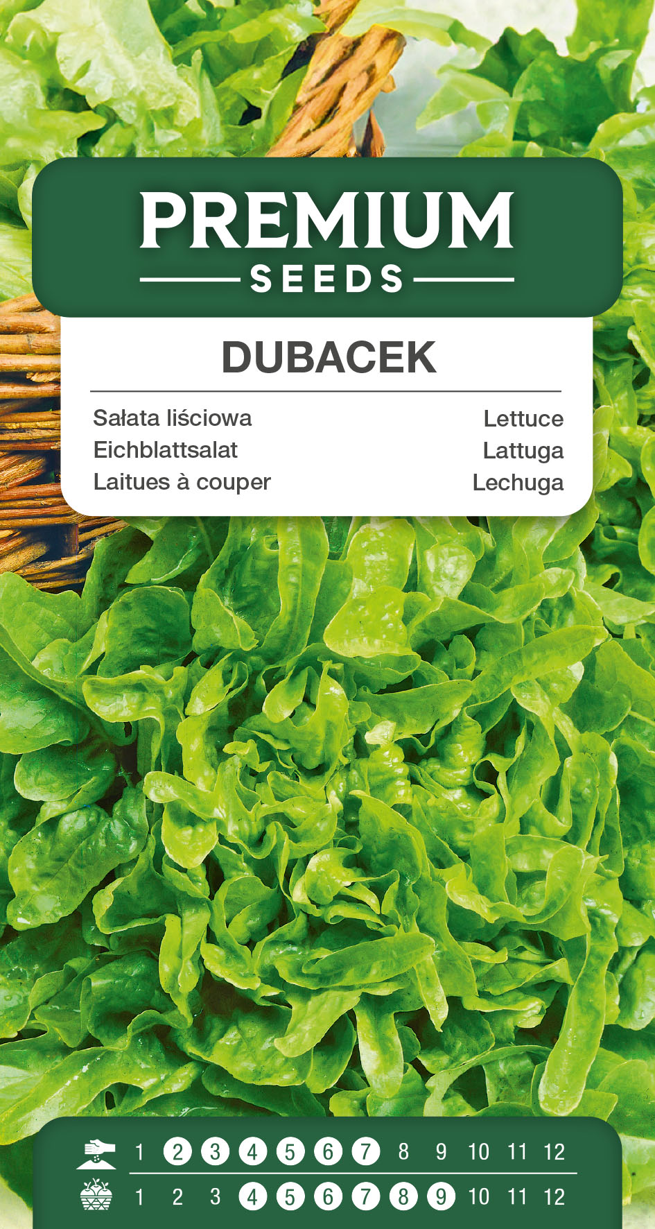 SWIA-WO-GE-11208_VS Lettuce Dubacek – seeds