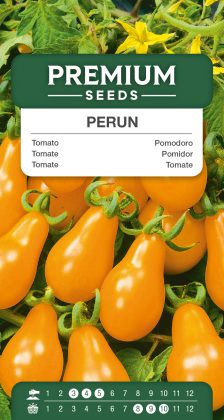 Tomato Perun – seeds