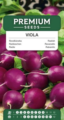 Radish Viola – seeds