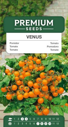 Tomato Venus – seeds