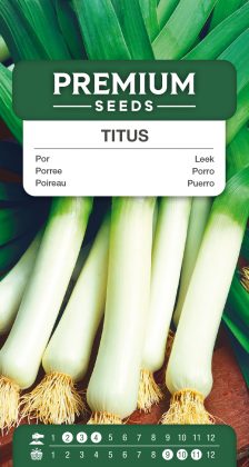 Leek Titus – seeds
