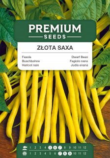 Dwarf Bean GOLDEN SAXA (“Złota Saxa”) – seeds