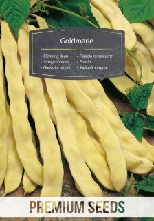 Fagiolo rampicante Goldmarie