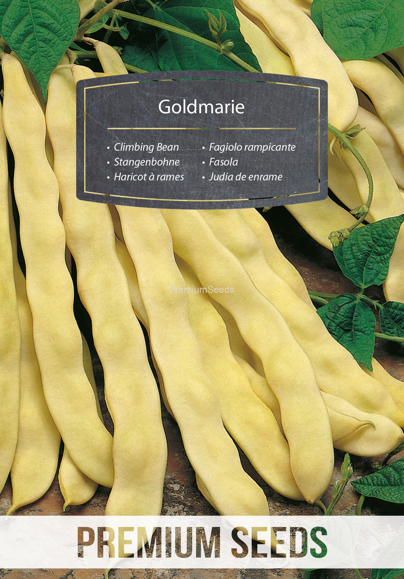 WORLD 14010590PA.indd Goldmarie Climbing Bean - seeds