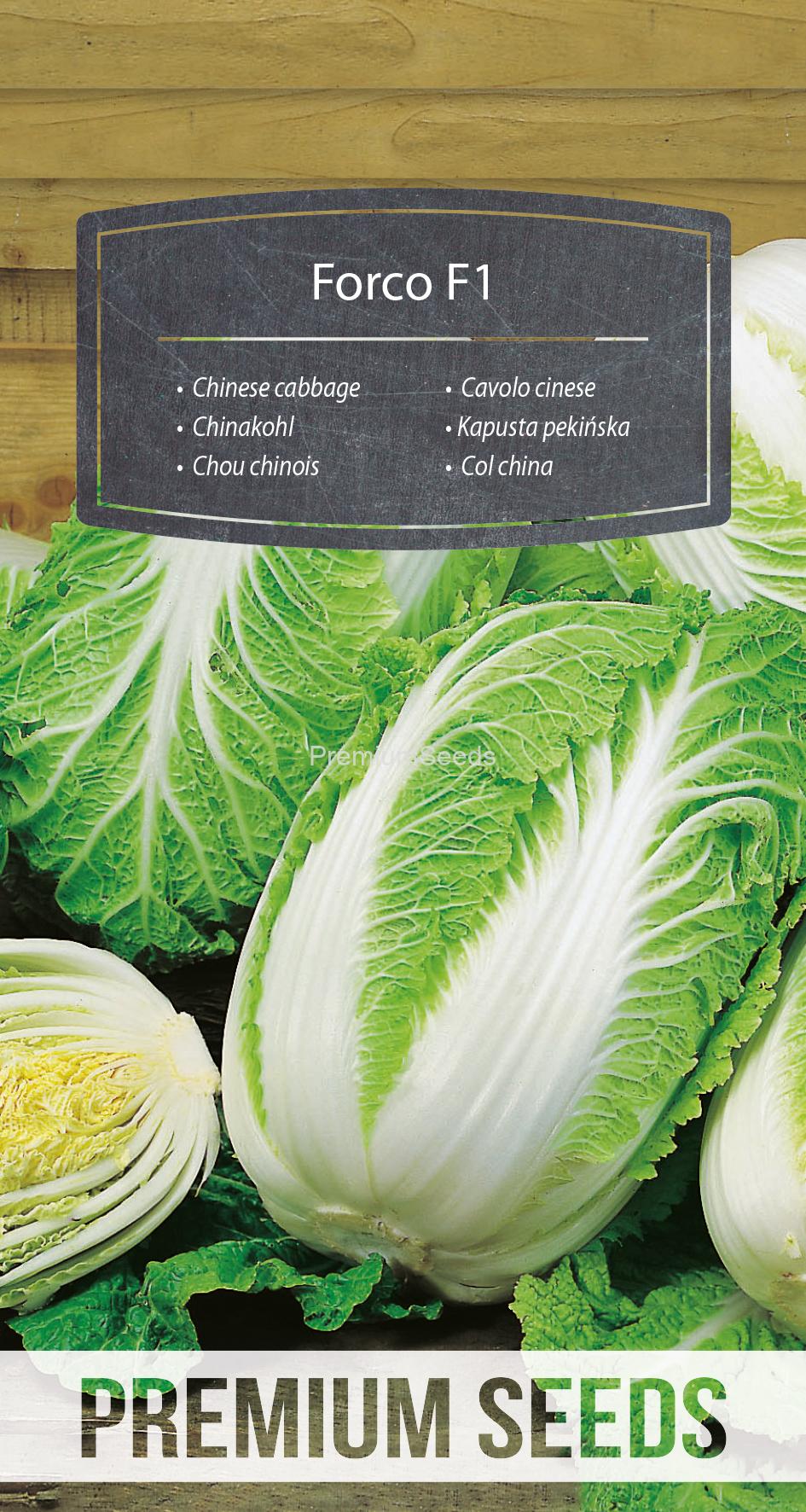 WORLD 14015443PA.indd Chinese cabbage Forco F1 - seeds
