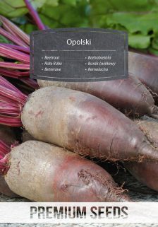 Barbabietola Opolski - semi