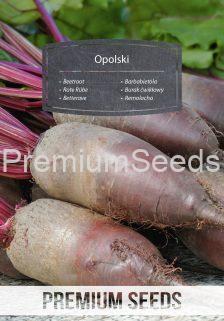 Opolski Beetroot - seeds
