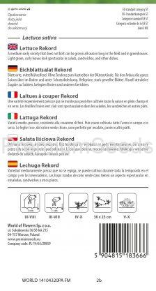 Lechuga Rekord - semillas