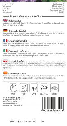 Col rizada Scarlet - semillas