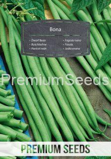 Dwarf Bean Bona - seeds