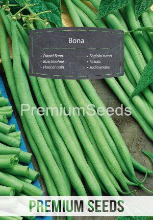 Dwarf Bean Bona - seeds