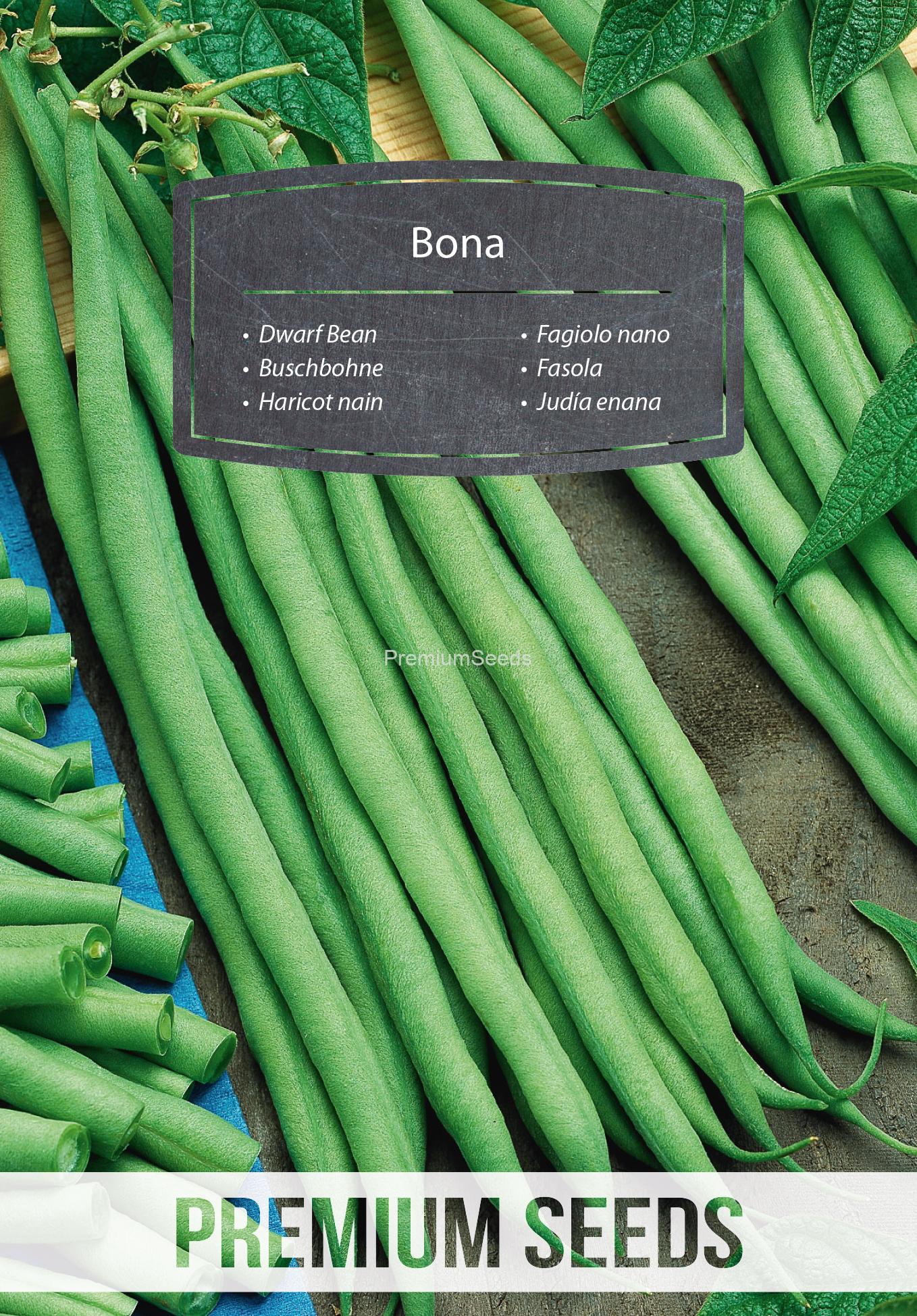 WORLD 14156435PA.indd Dwarf Bean Bona - seeds