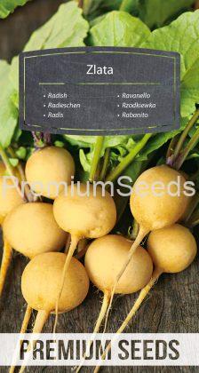 Radish Zlata - seeds