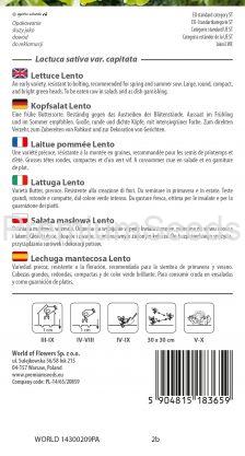 Lechuga mantecosa Lento - semillas