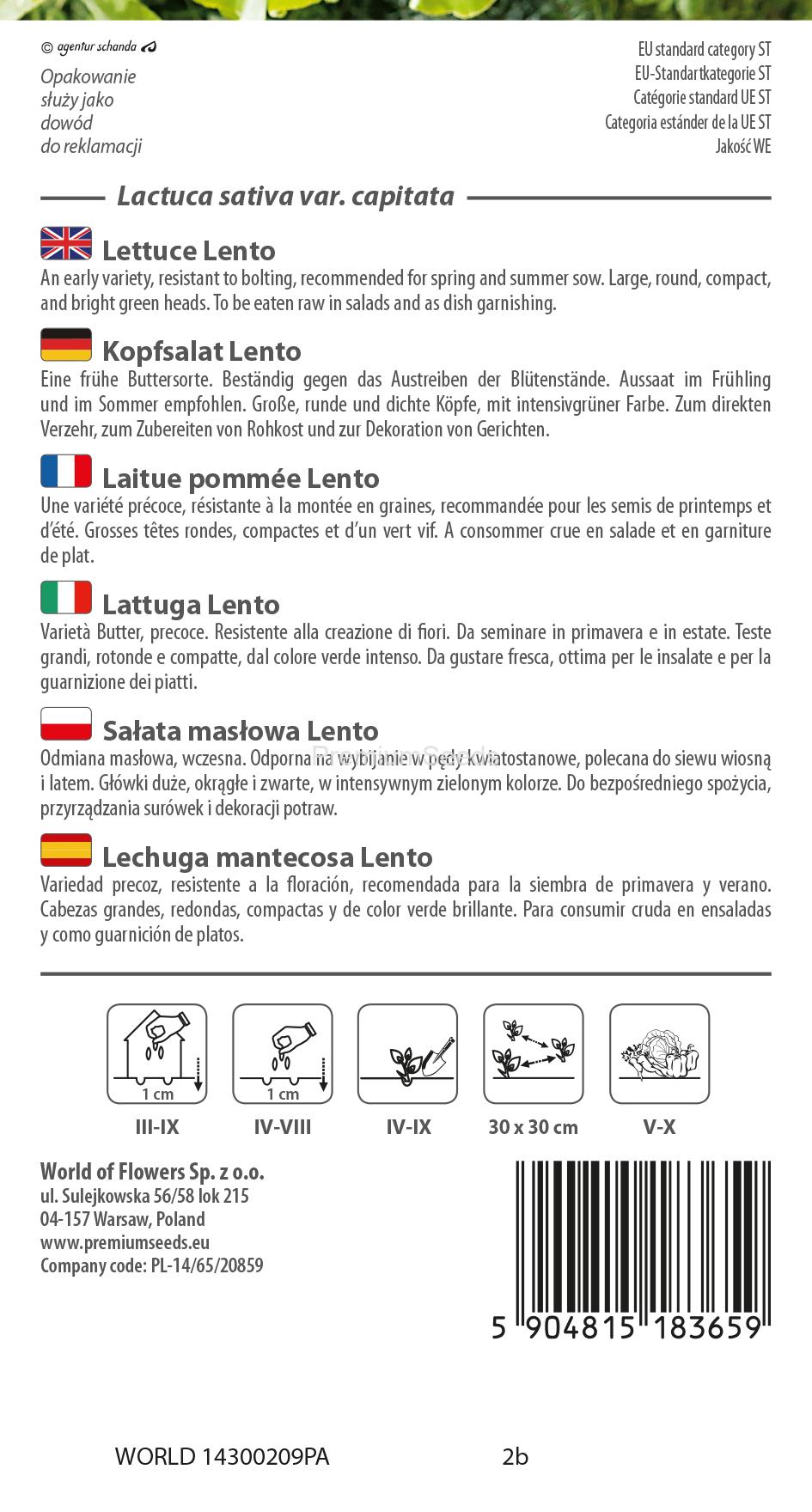 WORLD 14300209PA.indd Lechuga mantecosa Lento - semillas