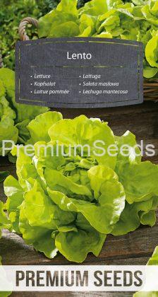 Lechuga mantecosa Lento - semillas