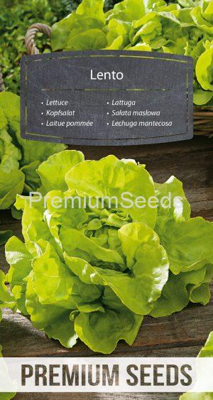 Lettuce Lento - seeds
