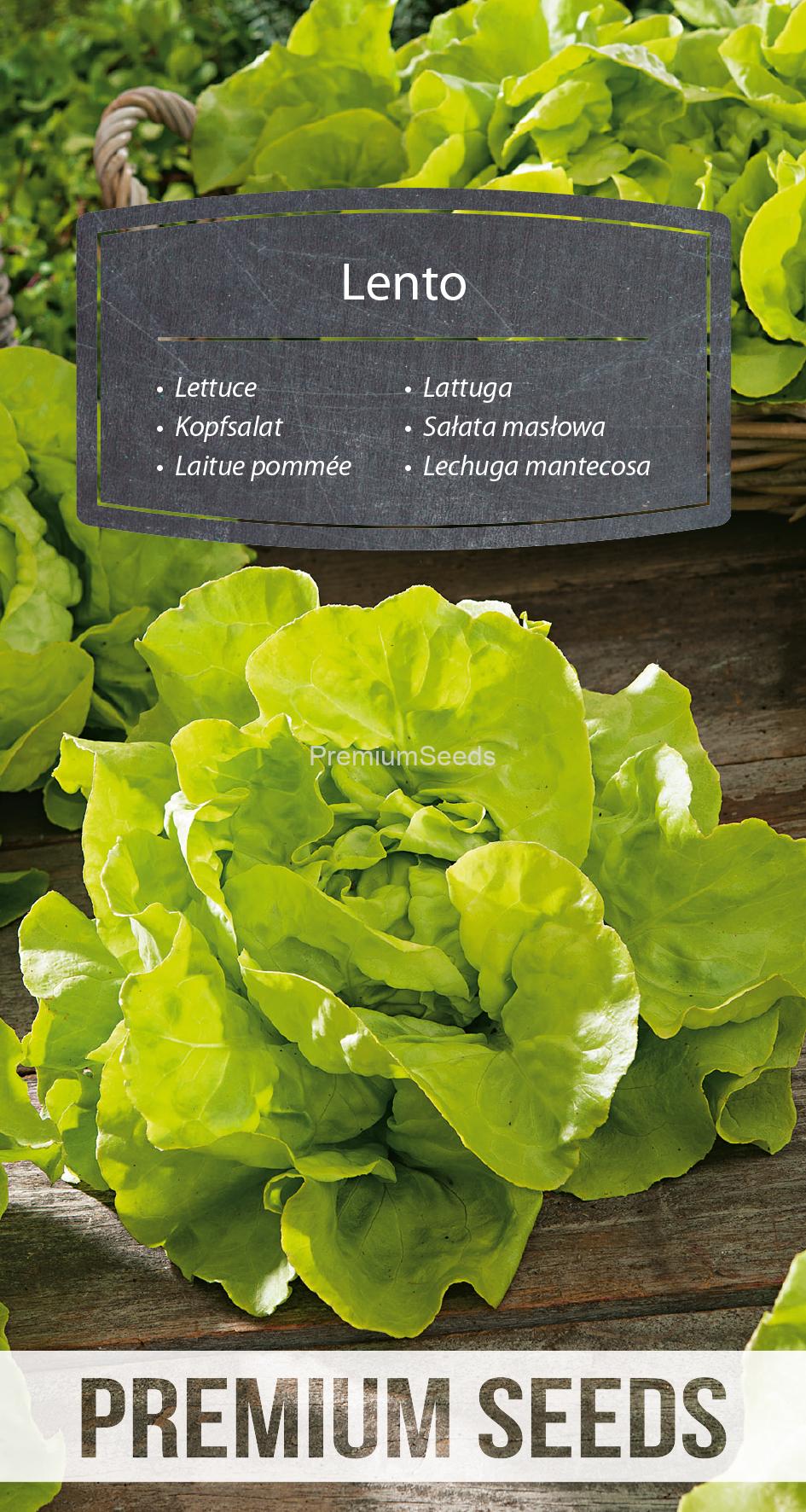 WORLD 14300209PA.indd Lettuce Lento - seeds