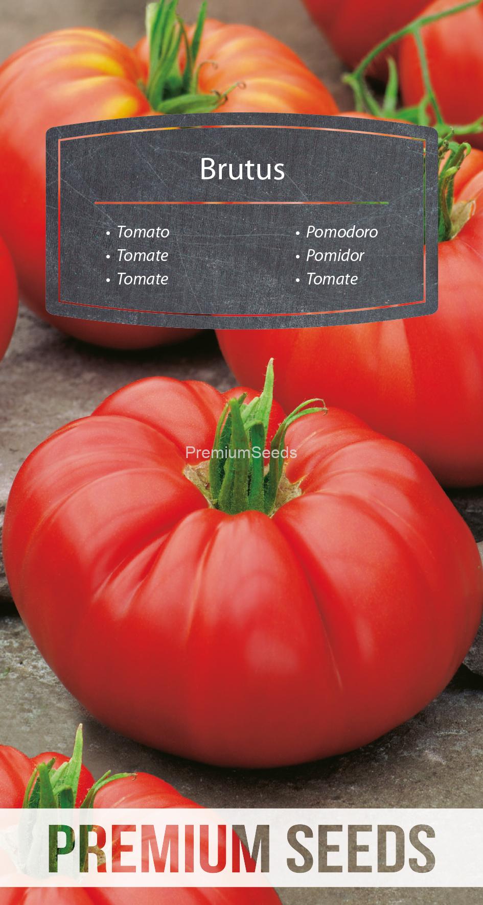 WORLD 16101544PA.indd Tomato Brutus - seeds