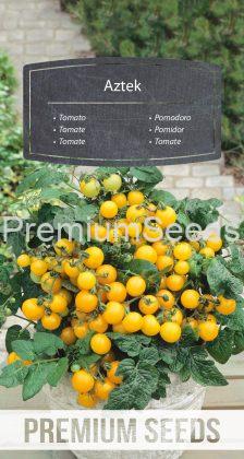 Tomato Aztek - seeds