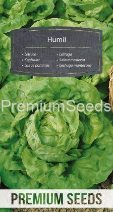 Lettuce Humil - seeds