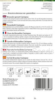 Brussels sprout Casiopea - seeds