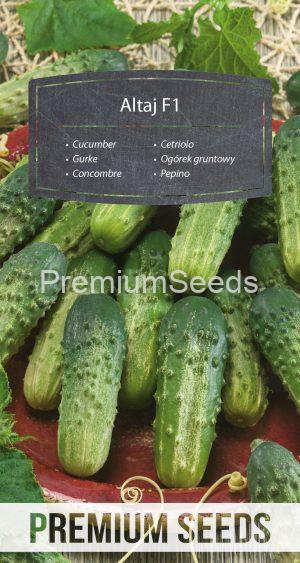 Cucumber Altaj F1 - seeds