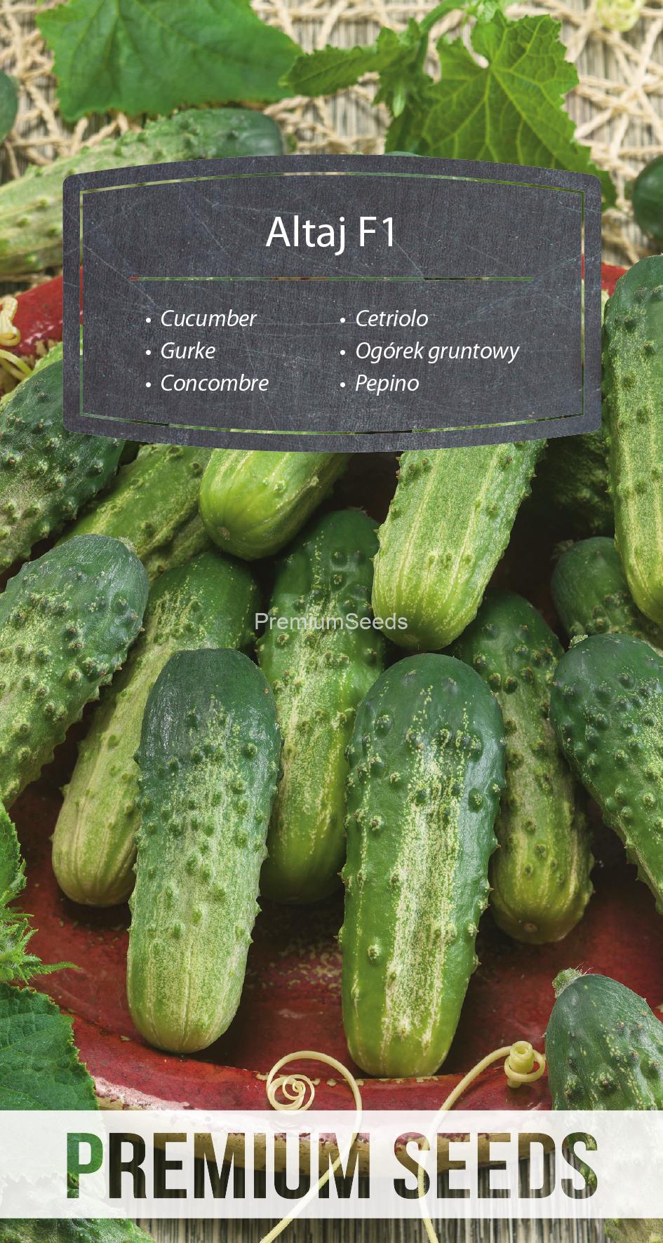 WORLD N 170 6057.indd Cucumber Altaj F1 - seeds