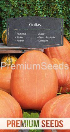 Pumpkin Golias - seeds