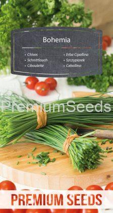 Chives Bohemia - seeds