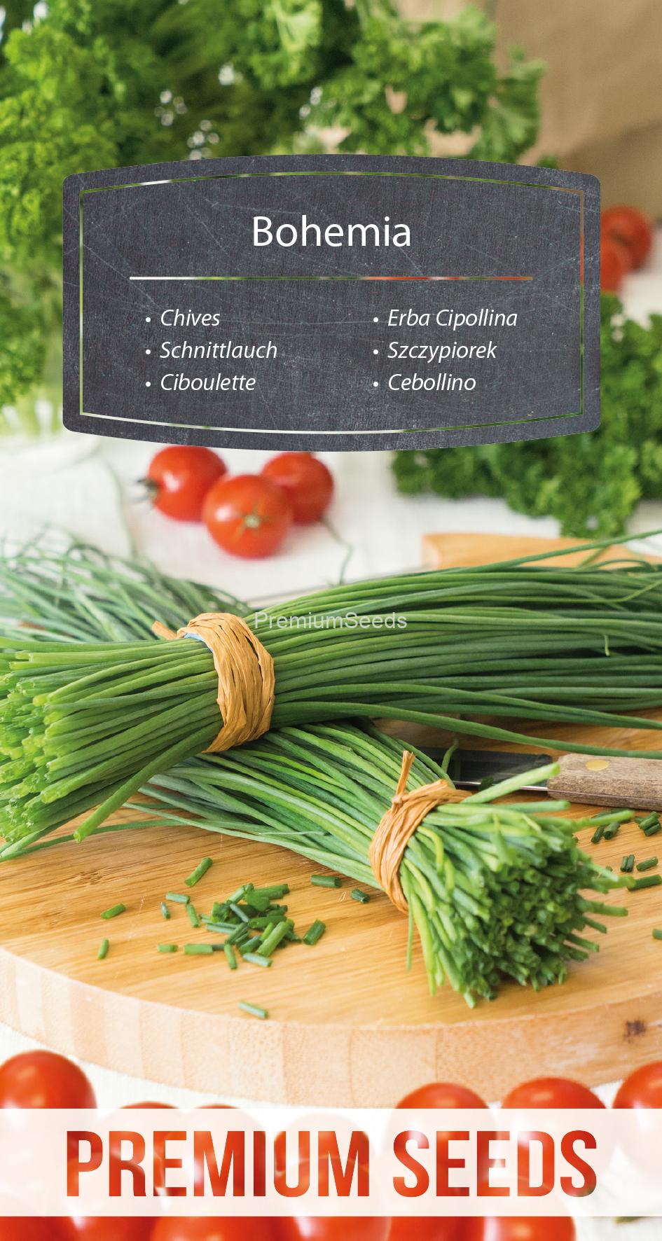 WORLD N 170 7710.indd Chives Bohemia - seeds