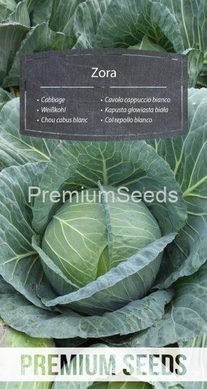 Cabbage Zora - seeds