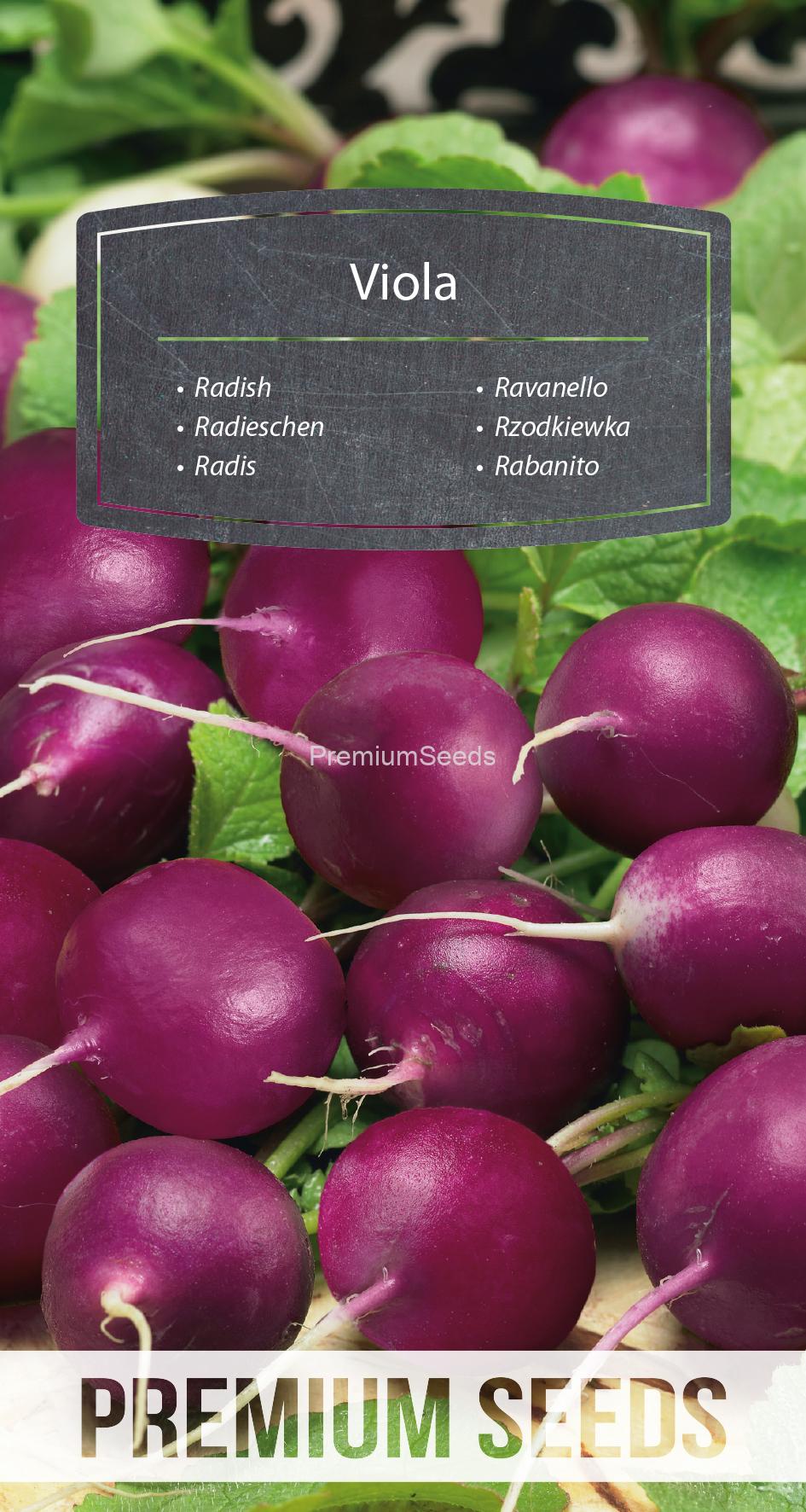 WORLD N 171 1441.indd Radish Viola - seeds