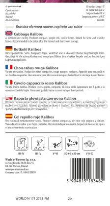 Cabbage Kalibos - seeds