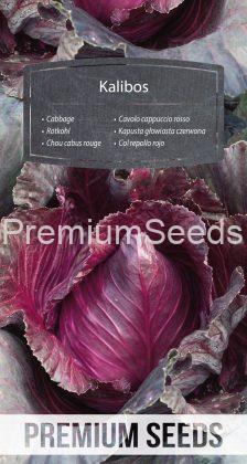 Cabbage Kalibos - seeds