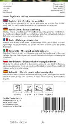 Radish - mix of colourful varieties