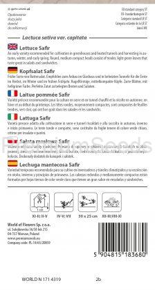 Lettuce Safir - seeds