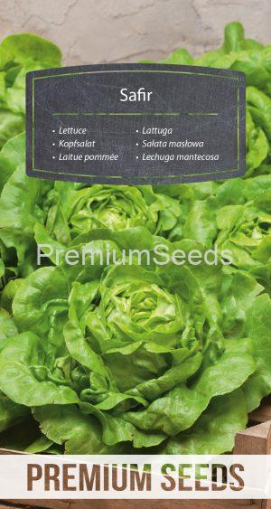 Lettuce Safir - seeds