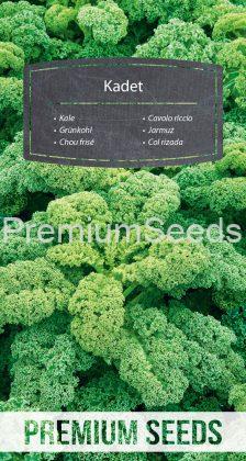 Kale Kadet - seeds