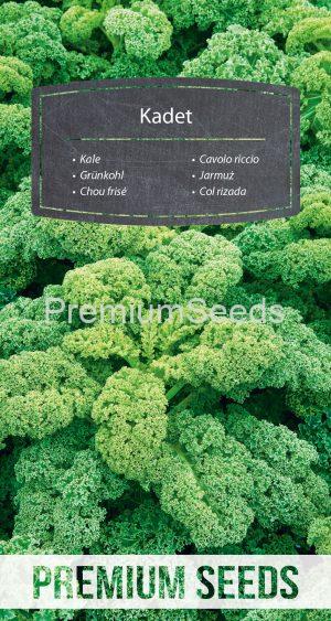 Kale Kadet - seeds