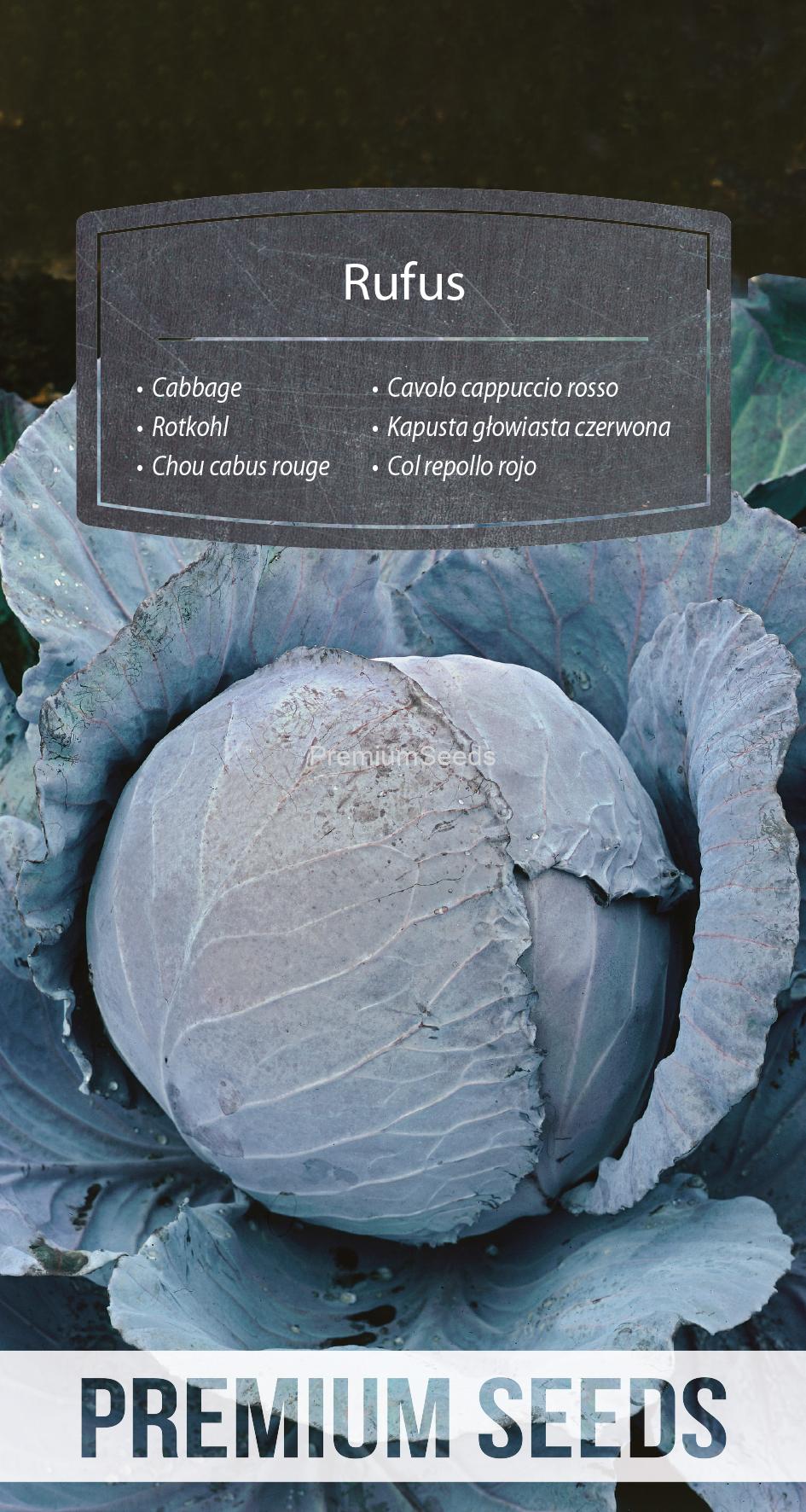 WORLD N 70 46 05.indd Cabbage Rufus - seeds