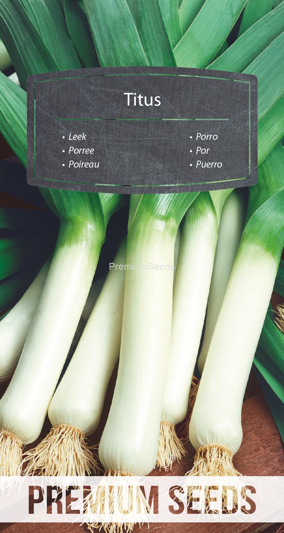WORLD N 70 84 18.indd Leek Titus - seeds