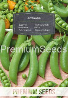 Ambrosia Sugar Pea - seeds