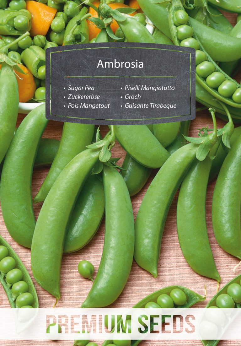 Ambrosia Sugar Pea - PremiumSeeds – producer of seeds