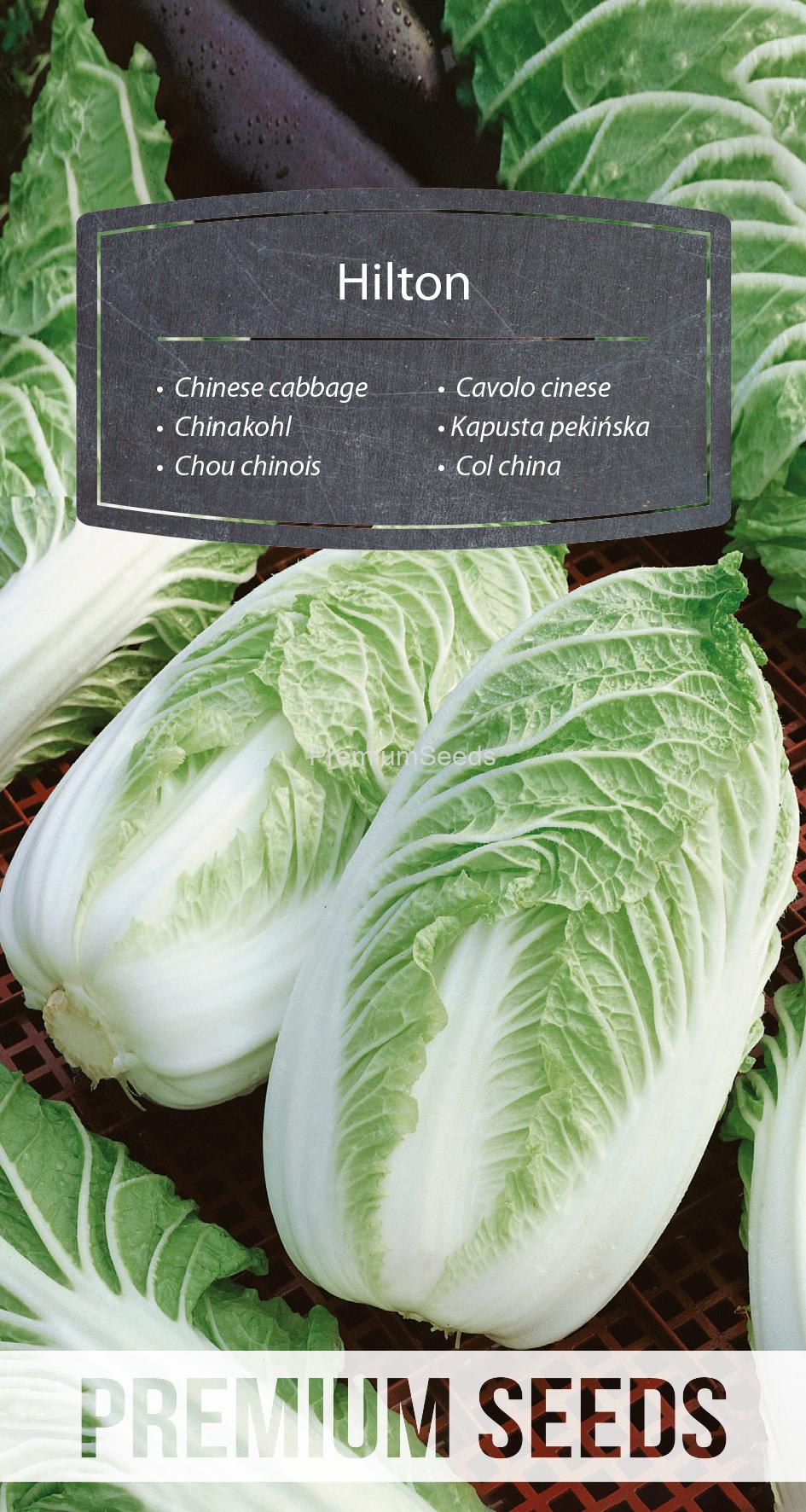 WORLD N 94 39 52.indd Chinese cabbage Hilton - seeds
