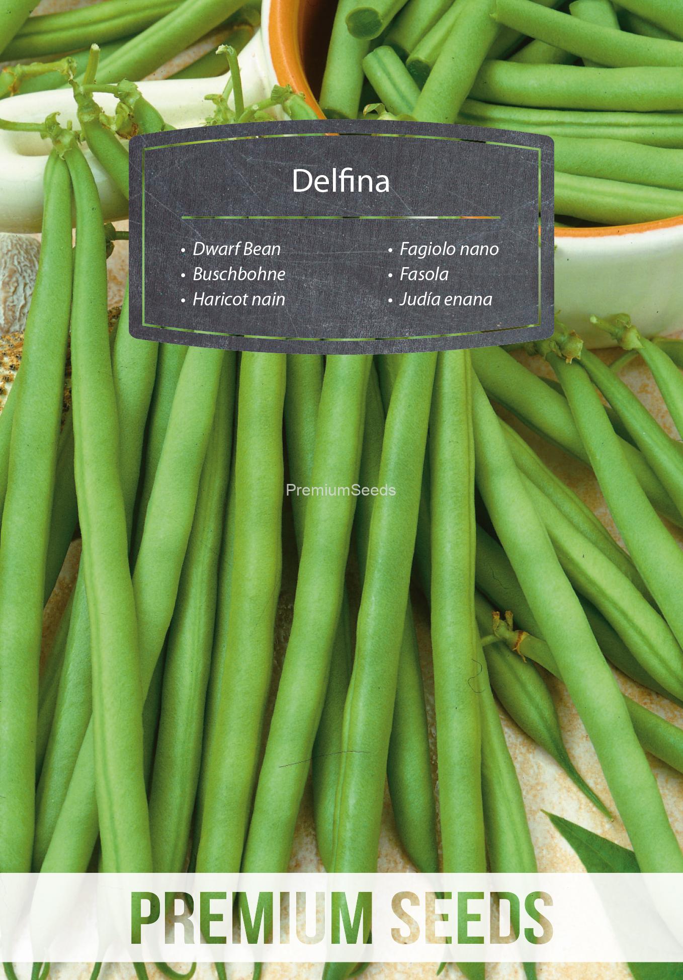 WORLD N G 160 0068.indd Dwarf Bean Delfina - seeds