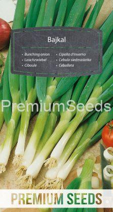 Bunching onion Bajkal - seeds